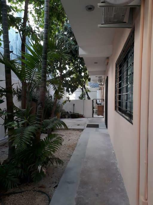 Estudio En Cancun Centro Exterior foto